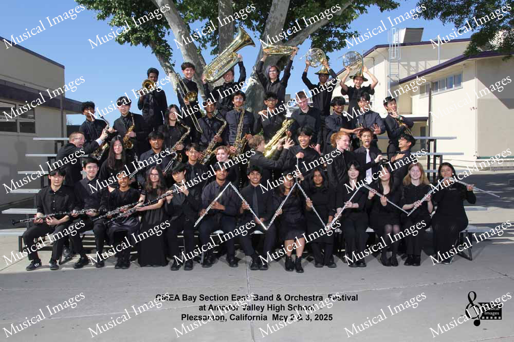 Musical Images